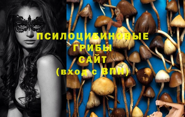 шишки Заводоуковск