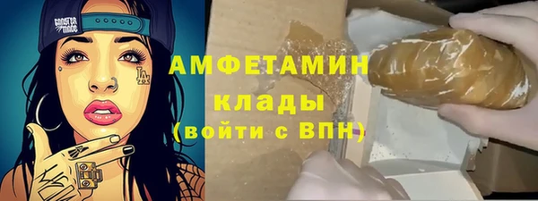 шишки Заводоуковск