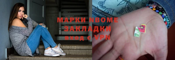 шишки Заводоуковск
