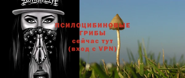 шишки Заводоуковск