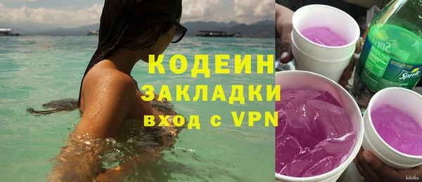шишки Заводоуковск