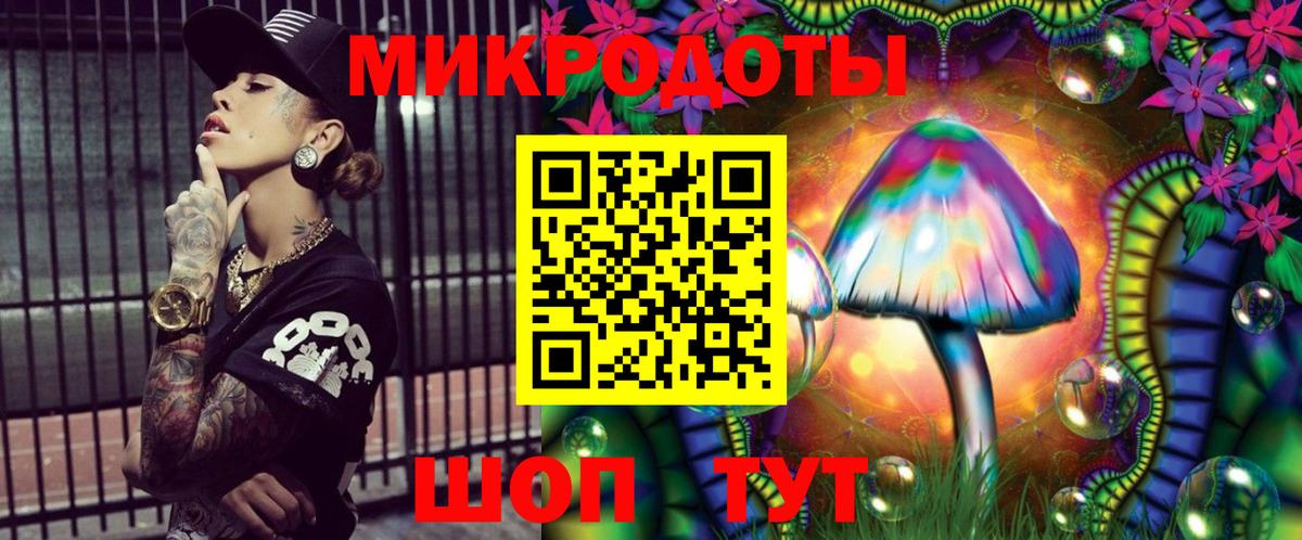 Псилоцибиновые грибы Cubensis Тихорецк