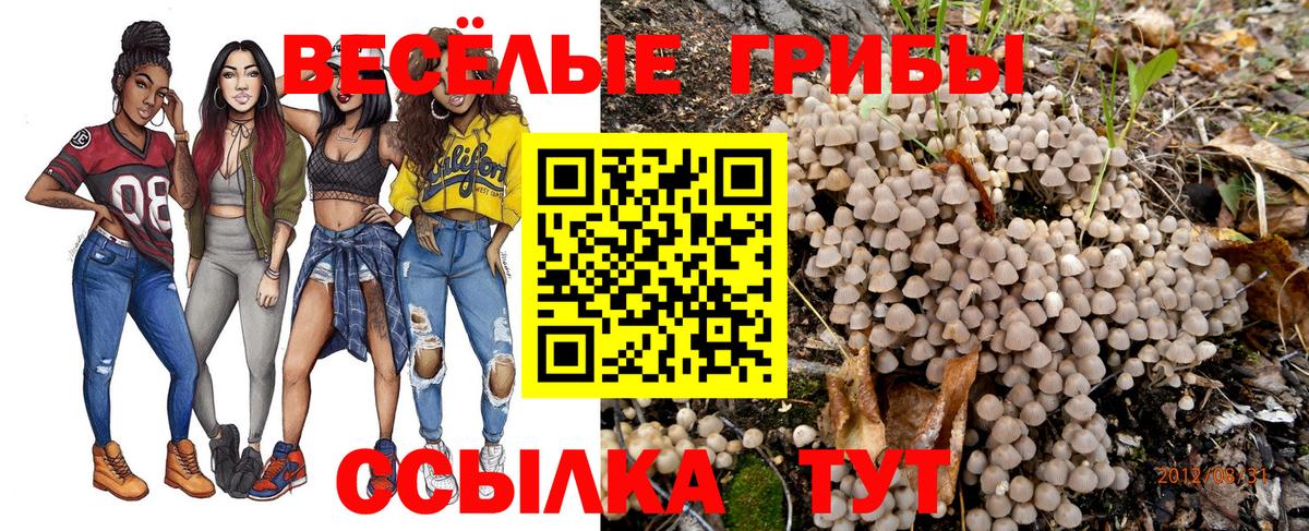 Галлюциногенные грибы Magic Shrooms  Галлюциногенные грибы Psilocybe  Вход с VPN  Тихорецк 